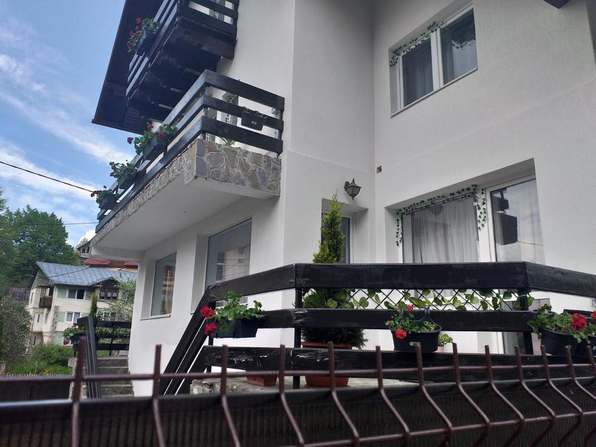 Miraj Azuga Exterior foto